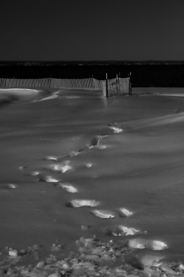 2011 02 03 IMG 20241ebw